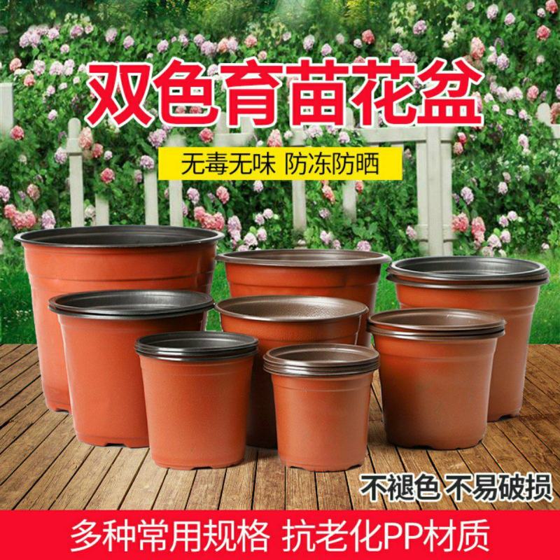 双色盆一次性花盆育苗盆营养钵简易特大号花盆育苗双色花盆种