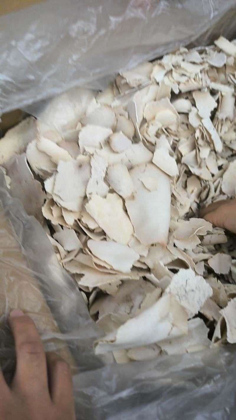 安徽精品茯神茯神木常年加工无硫茯神木量大从优
