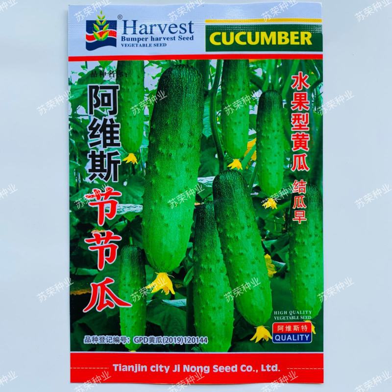阿维斯节节瓜水果型黄瓜种子抗病耐热丰产农家菜园春秋播蔬菜