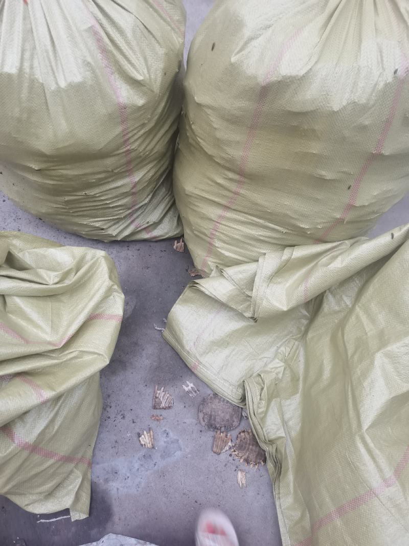 湖北产地大鳖甲壳（甲鱼壳）