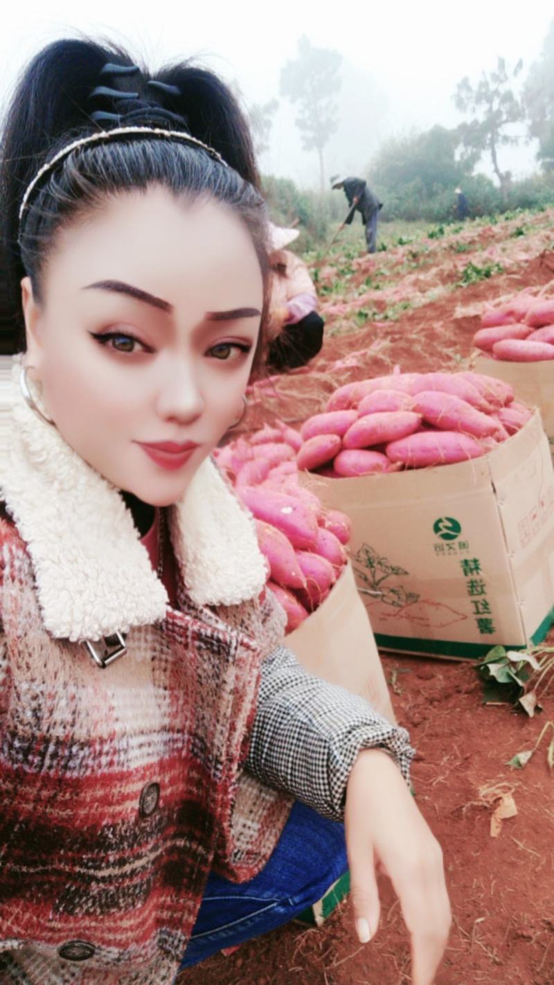 本人有一千亩灰薯，看上的老板速联系！