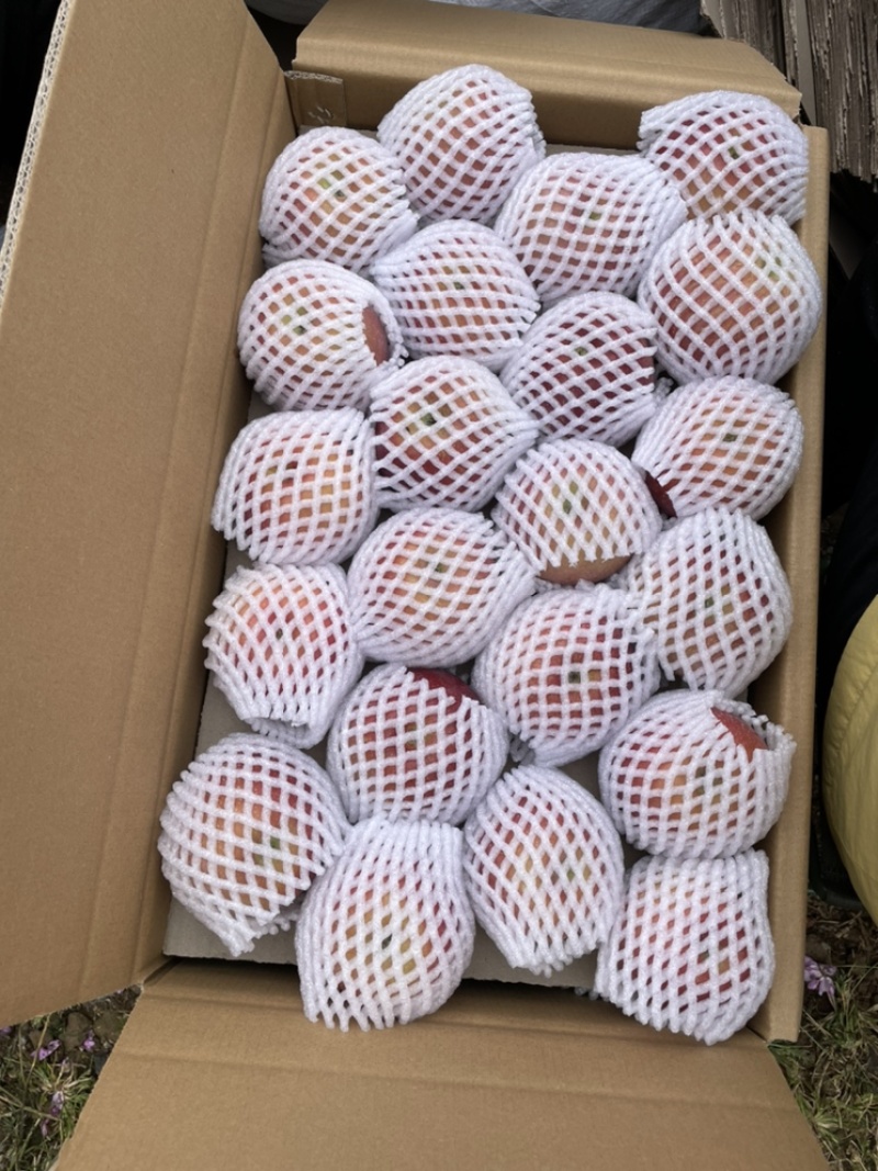 盐源糖心苹果产地直供
