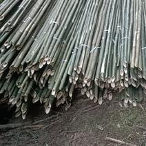 竹子排山竹出售八米长