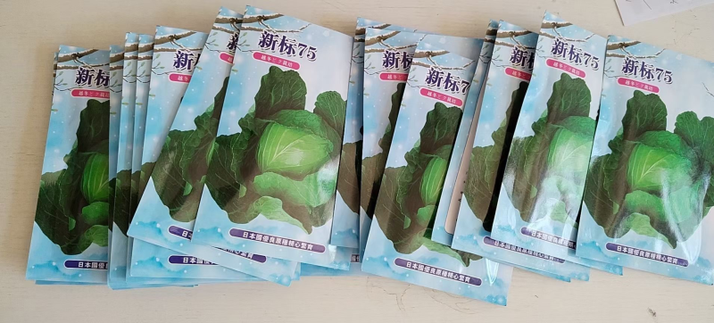 新标75，雪地越冬甘蓝种子，种子大量有货