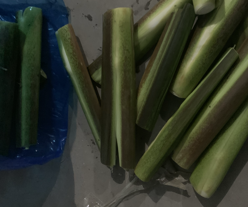 云南茭白