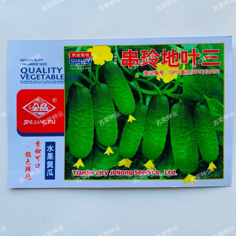 串铃地叶三黄瓜种子中早熟耐热胡瓜唐瓜种籽春秋地架瓜果蔬菜