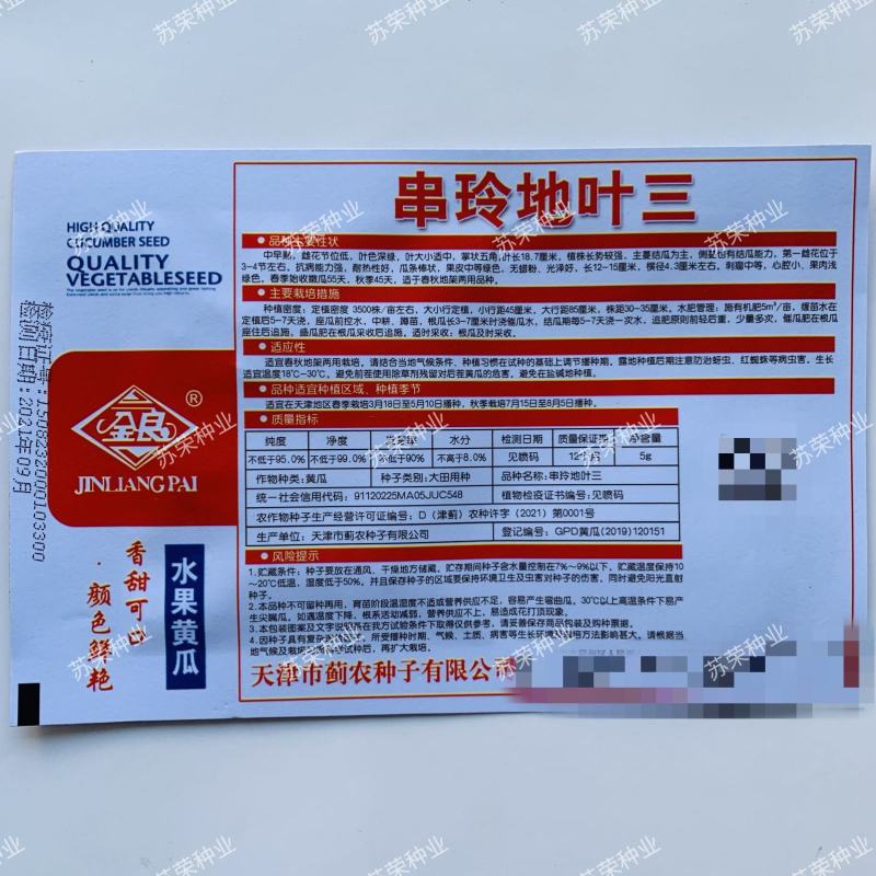 串铃地叶三黄瓜种子中早熟耐热胡瓜唐瓜种籽春秋地架瓜果蔬菜