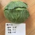 丰收甜脆宝甘蓝种子扁平大球甜脆85天6-8公斤生食味佳