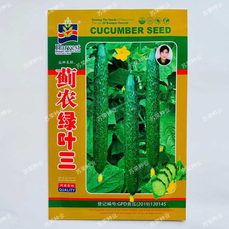 蓟农绿叶三黄瓜种子瓜条顺直质脆味甜品质优四季田园春秋