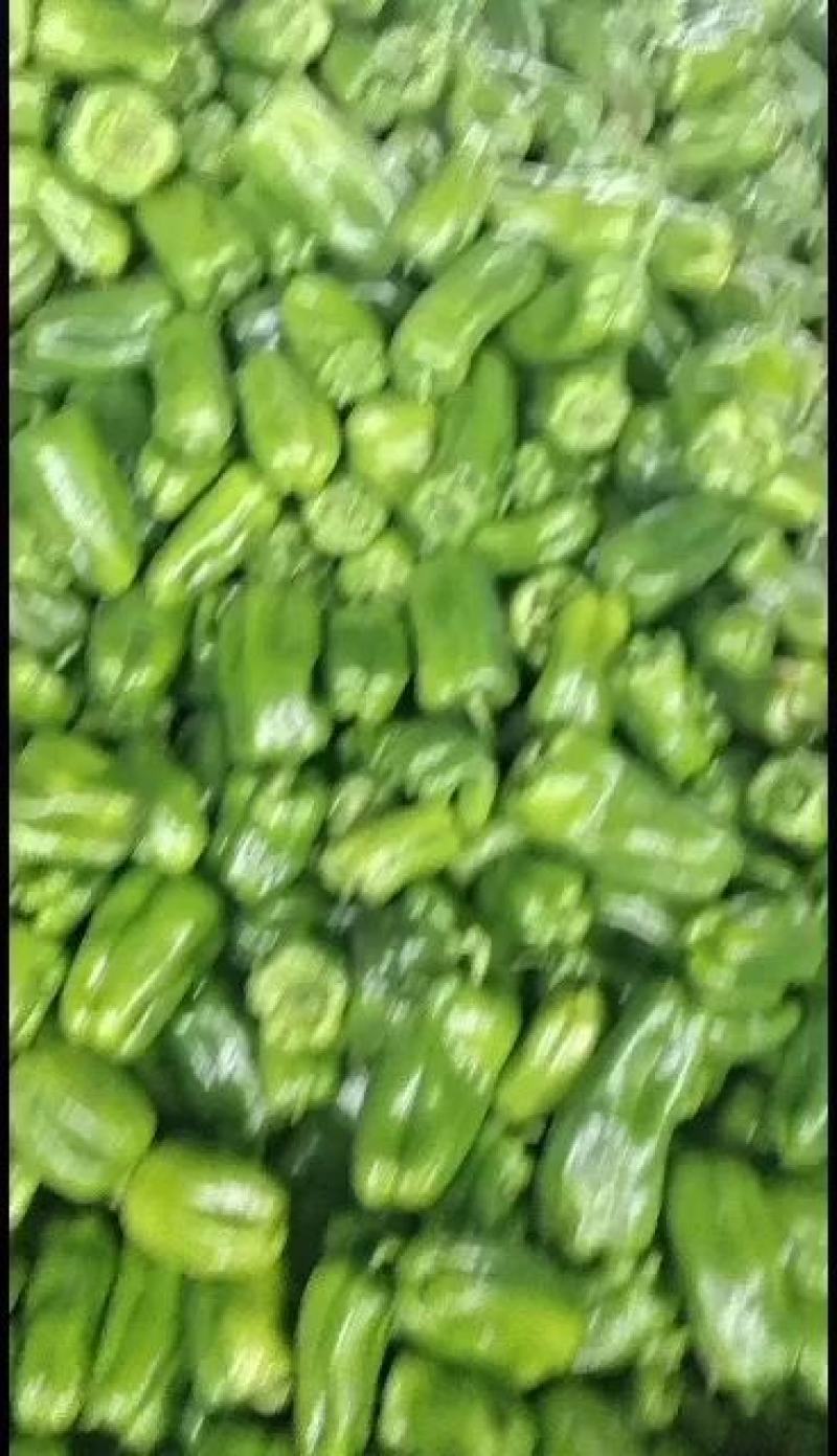 精品山东圆椒万亩基地对接商超价格识货免费下货装车