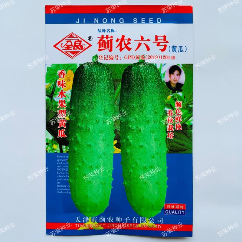蓟农六号黄瓜种子水果黄瓜贵妃脆香味黄瓜种籽春秋季栽培瓜果