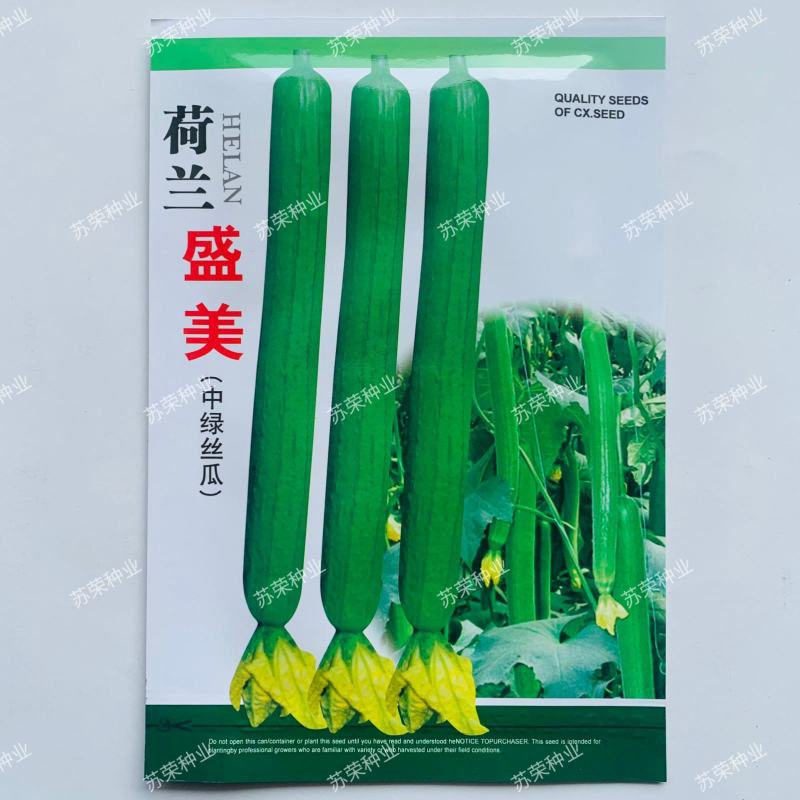荷兰盛美丝瓜种子中绿油绿型长香丝瓜种籽高产抗寒春夏季