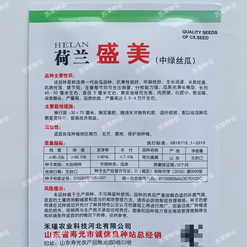 荷兰盛美丝瓜种子中绿油绿型长香丝瓜种籽高产抗寒春夏季