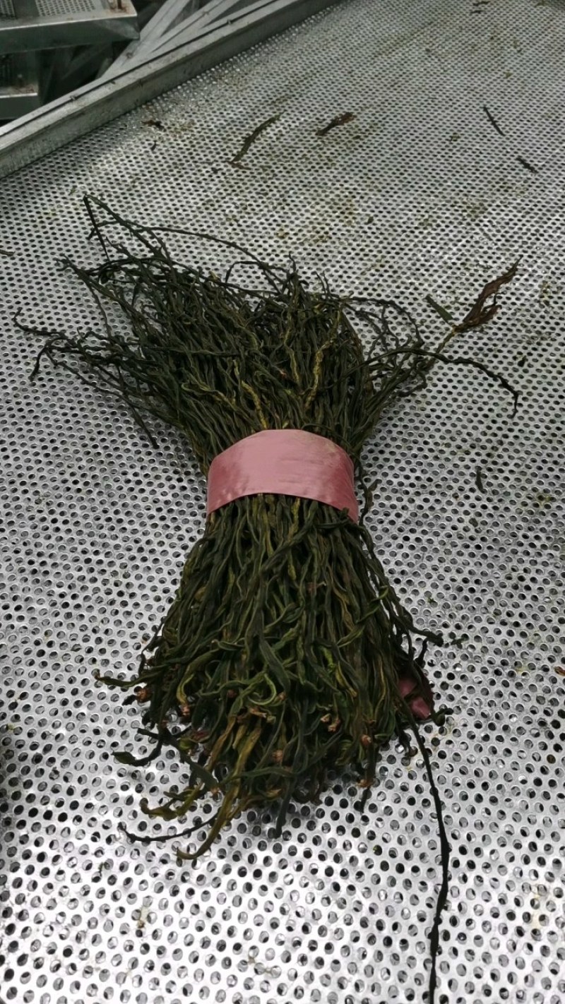 干豆角，晒干脱水豆角干，产地直供，量大从优