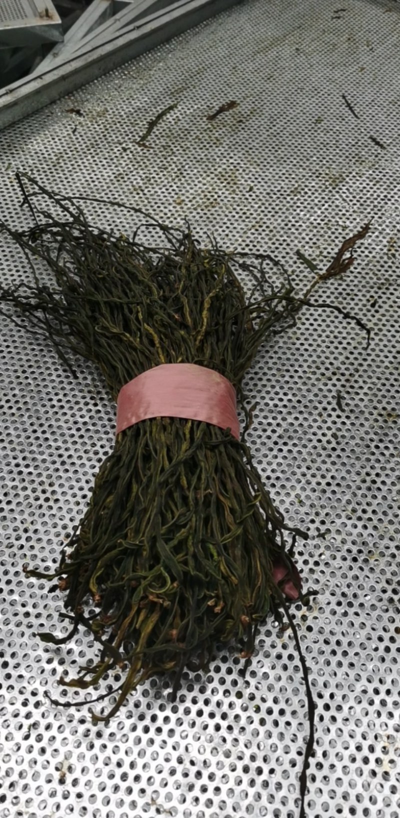干豆角，晒干脱水豆角干，产地直供，量大从优