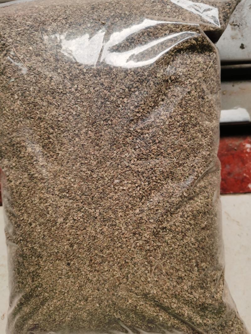 蛇床子下湿阴痒