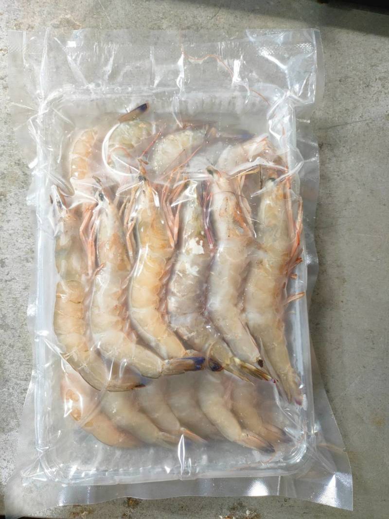 麻虾、芦虾、特大原条海虾真空一斤包装、广西北海快艇靓货