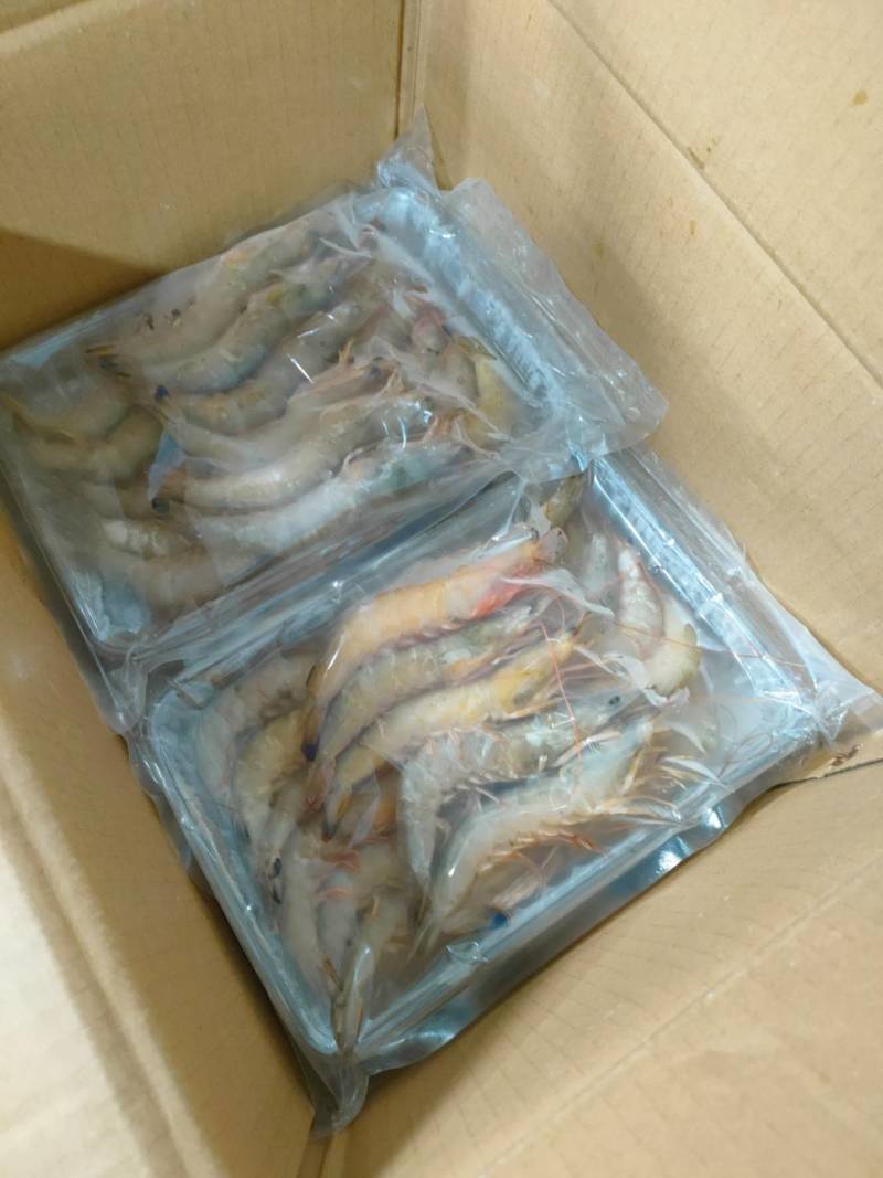 麻虾、芦虾、特大原条海虾真空一斤包装、广西北海快艇靓货
