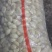 蒜种蒜瓣几毛钱一斤，速速抢购数量不多抢完就没了快快