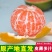 城固蜜桔陕西城固蜜桔桔子新鲜现摘蜜桔新鲜桔子时令水果薄皮