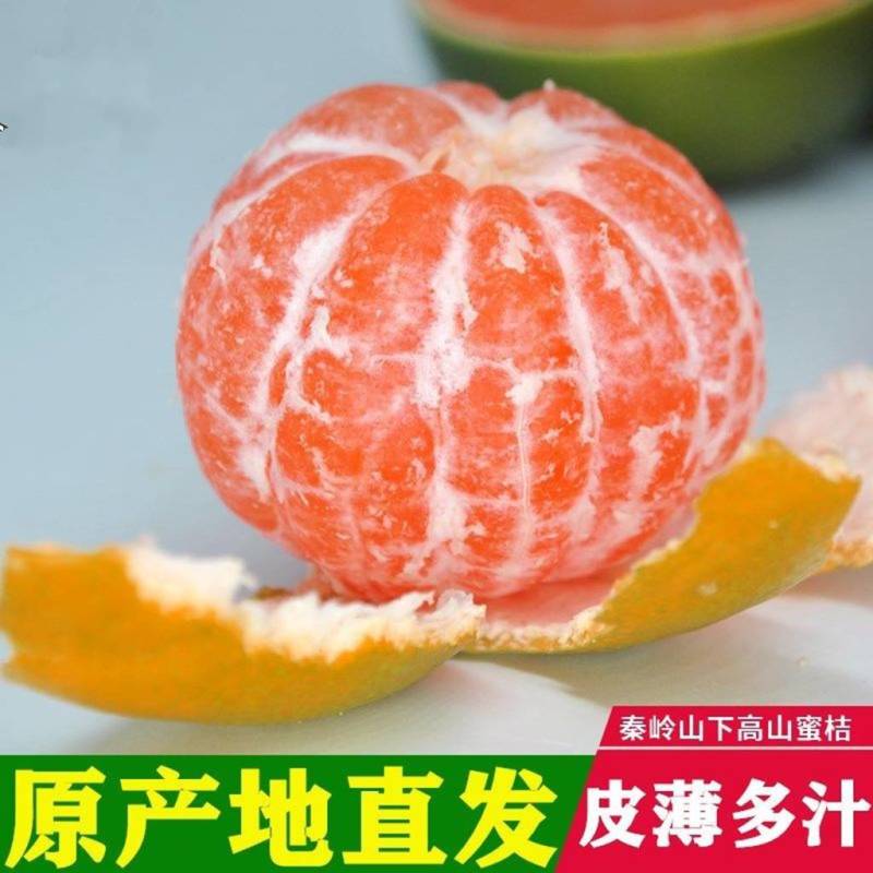 城固蜜桔陕西城固蜜桔桔子新鲜现摘蜜桔新鲜桔子时令水果薄皮