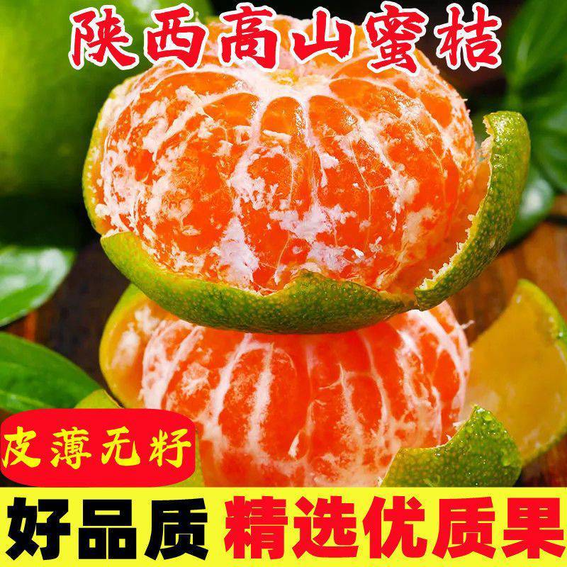 城固蜜桔陕西城固蜜桔桔子新鲜现摘蜜桔新鲜桔子时令水果薄皮