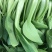 南通青菜大量有货可供应包子厂各大食堂