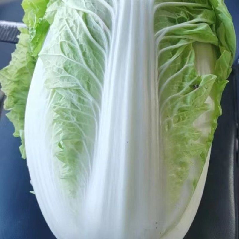 大白菜大量上市了，质量好，价格低，欢迎光临