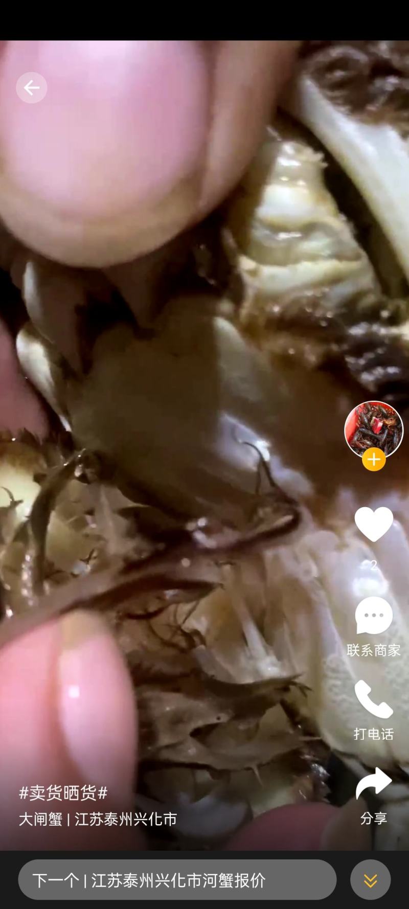 江苏大闸蟹