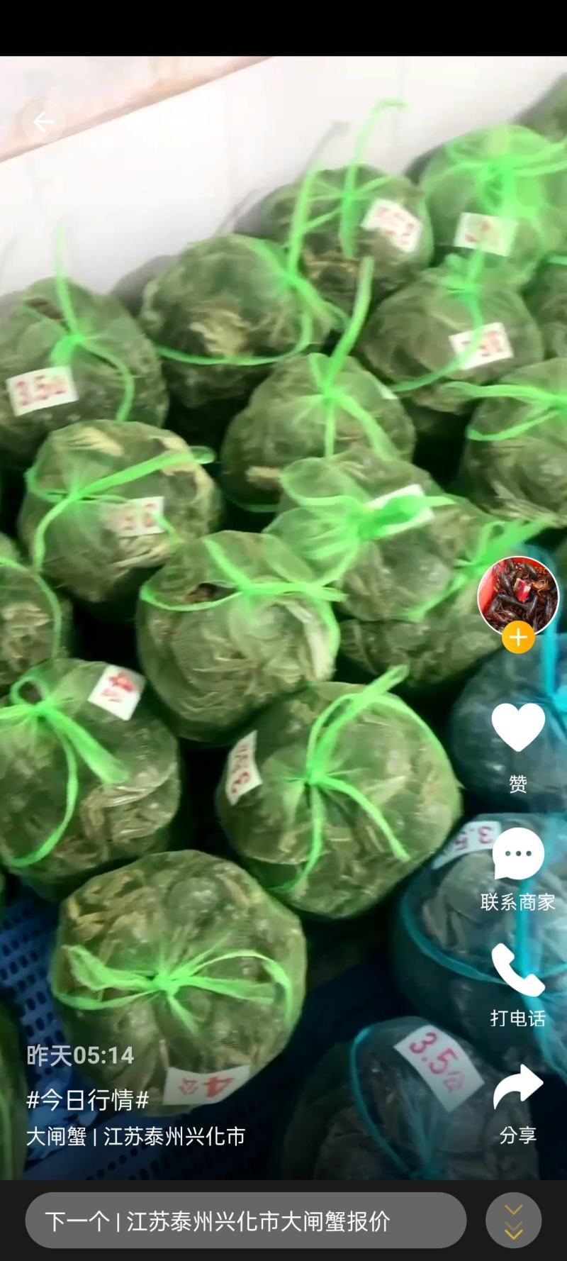 江苏大闸蟹