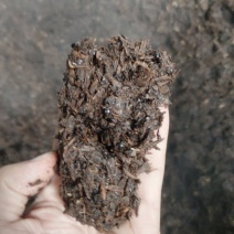 茅台镇酱酒糟大量出售
