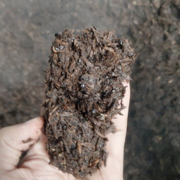 茅台镇酱酒糟大量出售