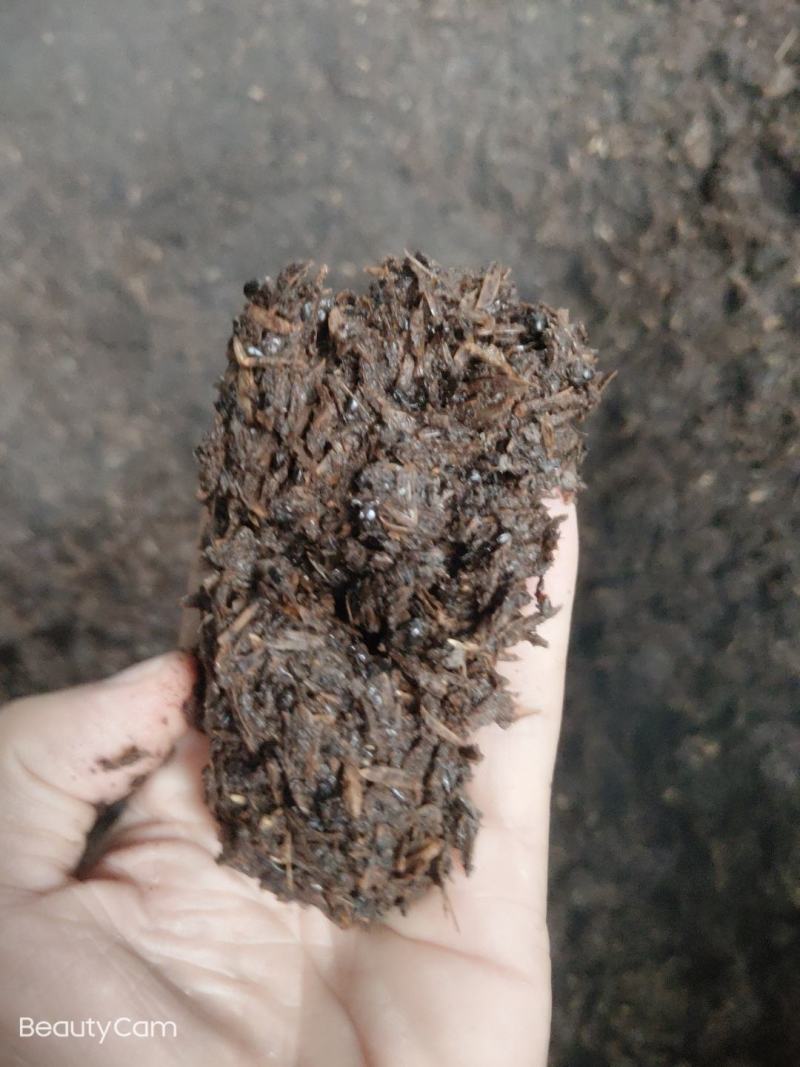茅台镇酱酒糟大量出售