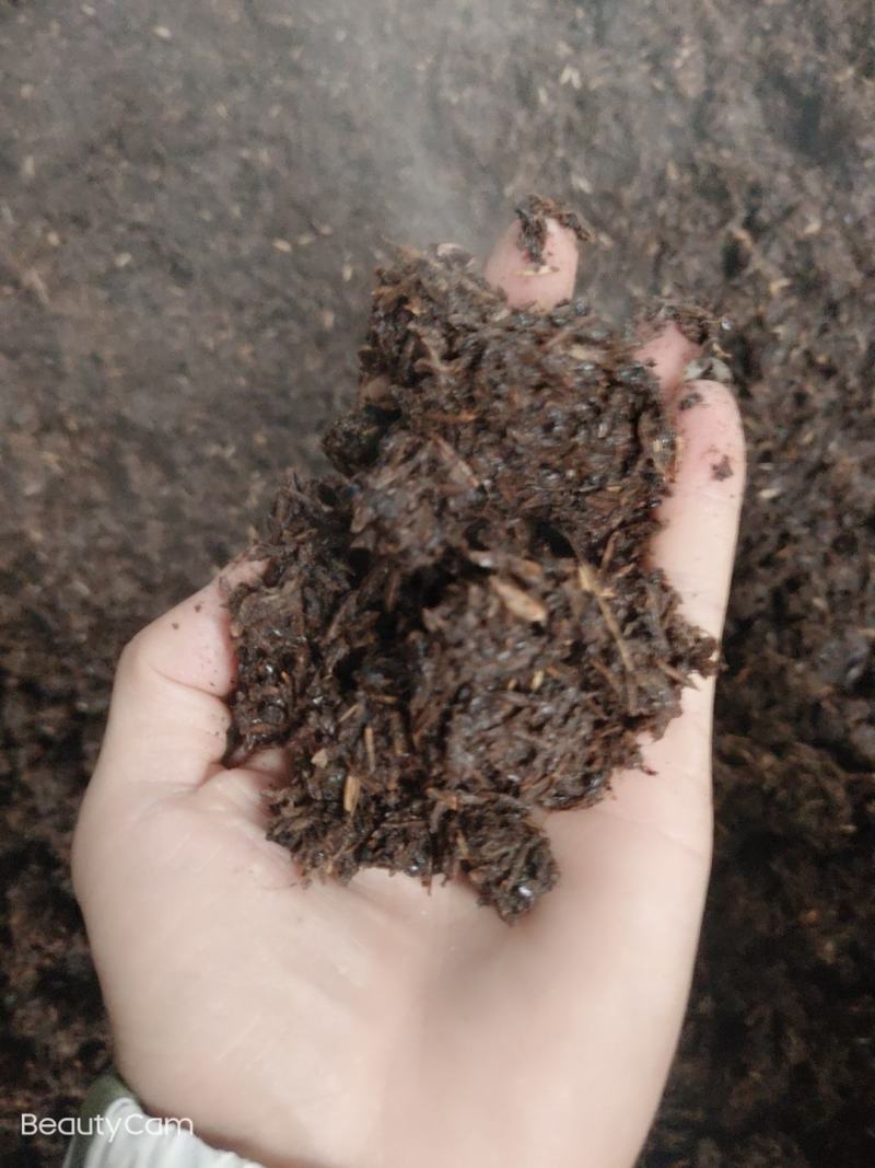 茅台镇酱酒糟大量出售