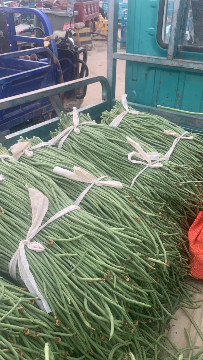 精品豆角基地直供一手货源品质保证诚信经营欢迎采购