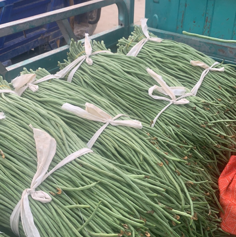 精品豆角基地直供一手货源品质保证诚信经营欢迎采购