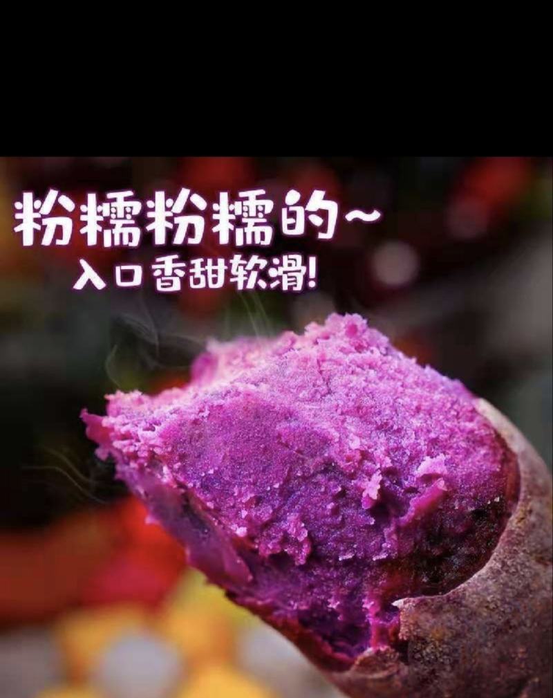 优质红薯西瓜红烟薯25紫薯产地一手货源保质保量全国发货