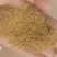 新衡谷36需要联系价格美丽