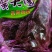 批发【水晶紫薯】干包装漂亮一箱24盒，30袋，50袋规格
