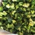 速冻西兰花/白花菜，库存清仓白价处理！规格是3-5厘米。