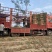 河北长白大葱，质量保证，诚信经营，希望和全国的老板合作
