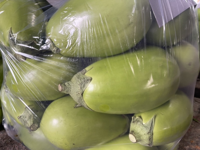 河南青茄新鲜采摘有量上市
