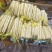 【山药】精品铁棍山药网袋精品水洗产地直发量大从优