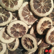 嫁接药枳壳苗良种嫁接成活枳壳树苗中药枳壳苗药柑药用枳壳