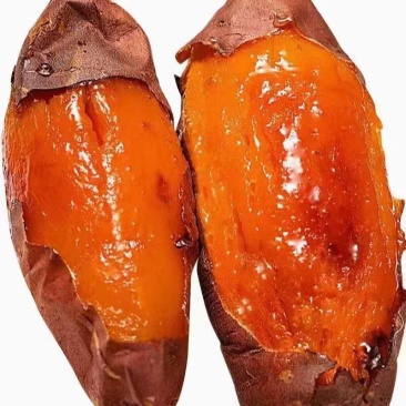 慧谷公司脱毒原种红薯苗红薯大量上市