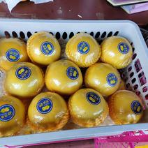 平和县台湾葡萄柚