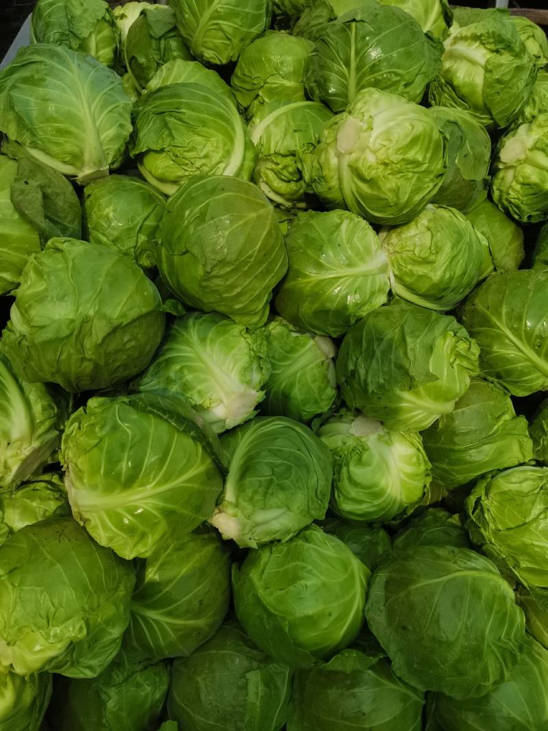包菜甘蓝市场货电商货包菜圆包菜多多买菜美团