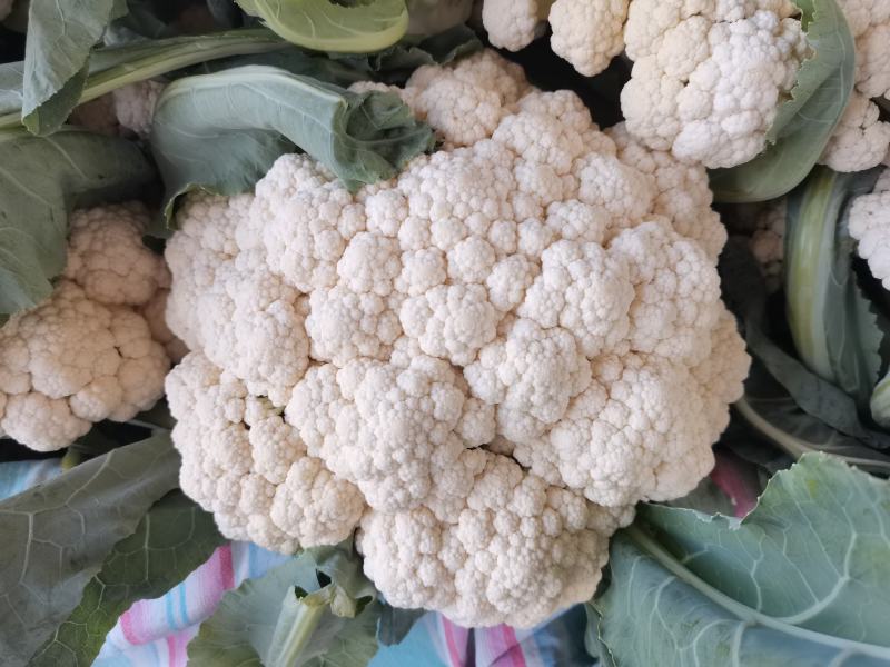 菜花花菜散花白面青梗市场货电商货多多买菜美团