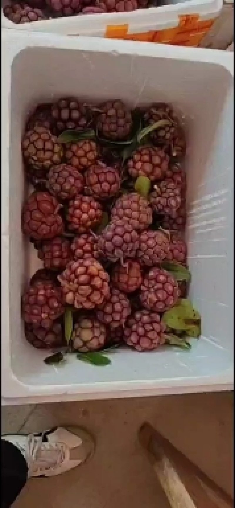 黑老虎果，需要的老板联系我。