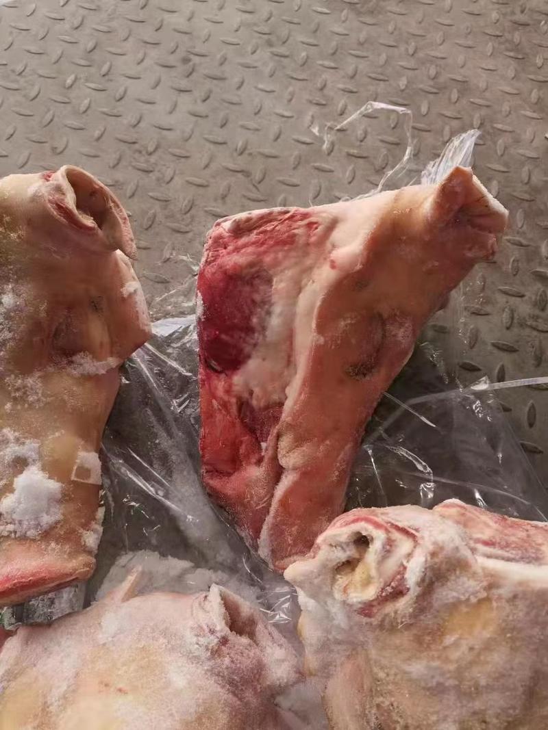 中花肠现货猪副产品猪肉手续齐全品质保障冷冻